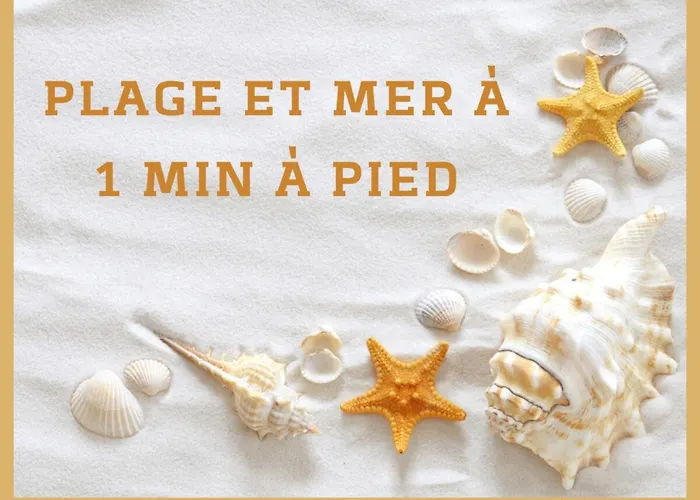 T3 Octopus Vue Mer Palavas Parking